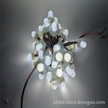 24V DC RGBW Pixel LED Point Light for Durable Outdoor Christmas Decoration